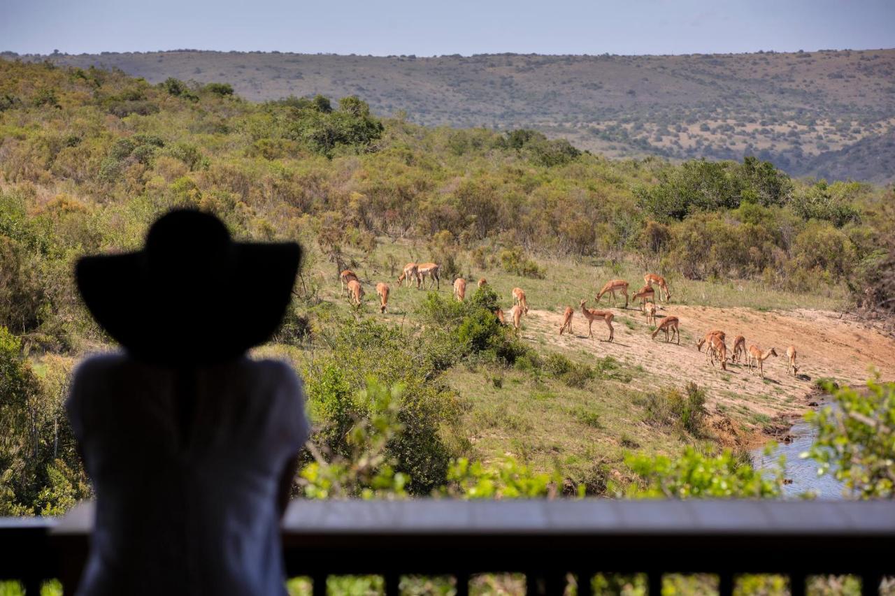 Paterson Lalibela Game Reserve - Kichaka Lodge מראה חיצוני תמונה