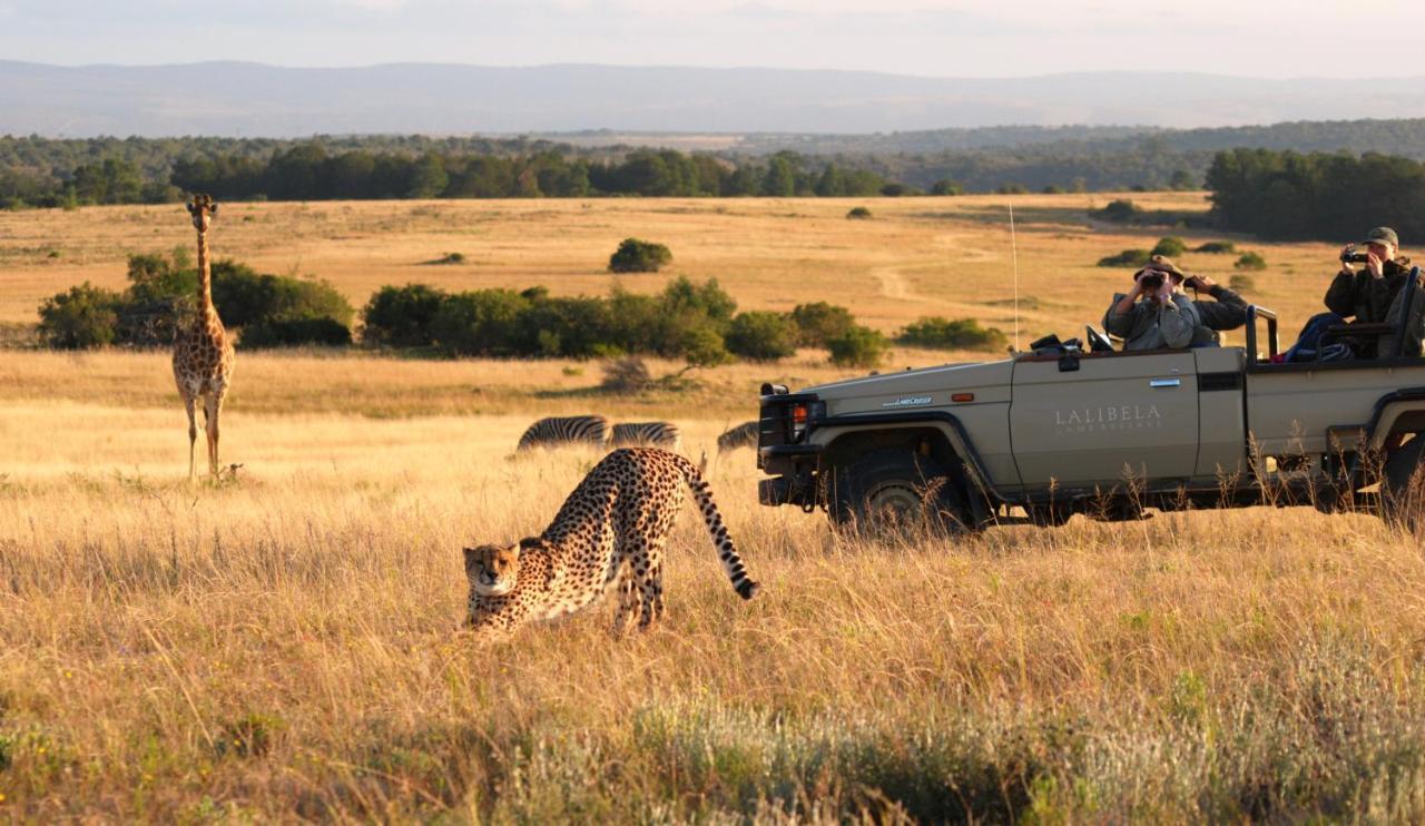 Paterson Lalibela Game Reserve - Kichaka Lodge מראה חיצוני תמונה